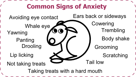 Signs of anxiety